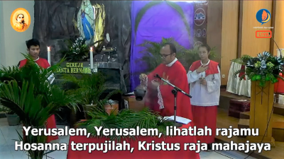 berkat palma-0joi